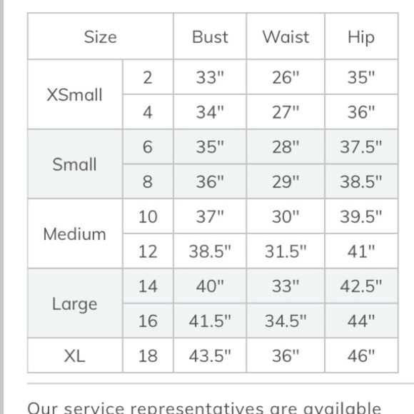 Soft Surroundings NWT Hadley Velvet Dress Burnout Brocade Party Holiday Witchy - Picture 14 of 16